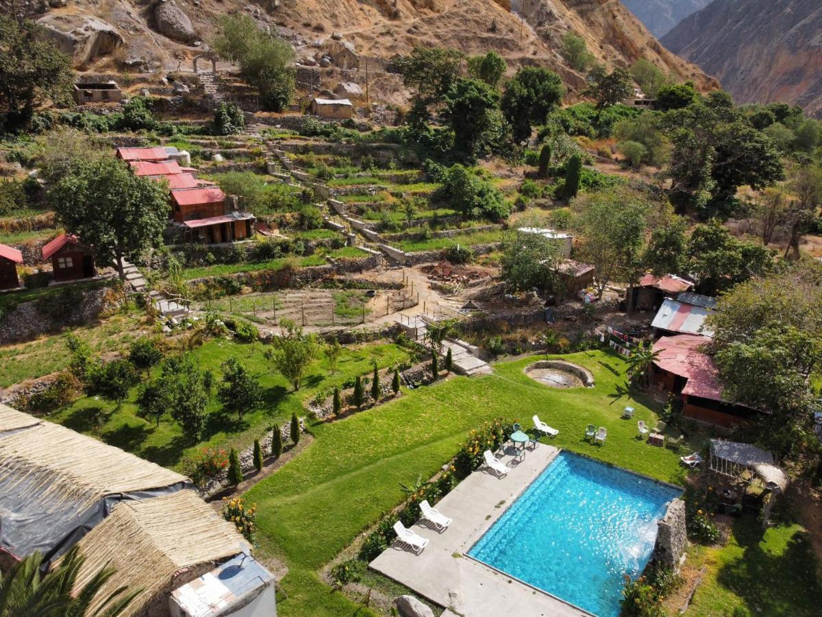 Oasis Paraiso Ecolodge 카바나콘데 외부 사진