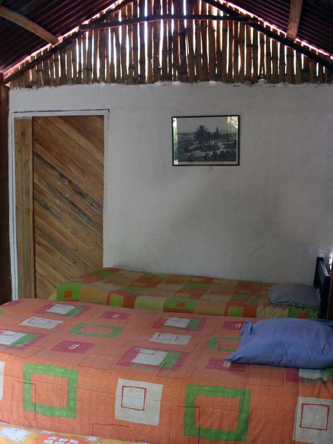 Oasis Paraiso Ecolodge 카바나콘데 외부 사진