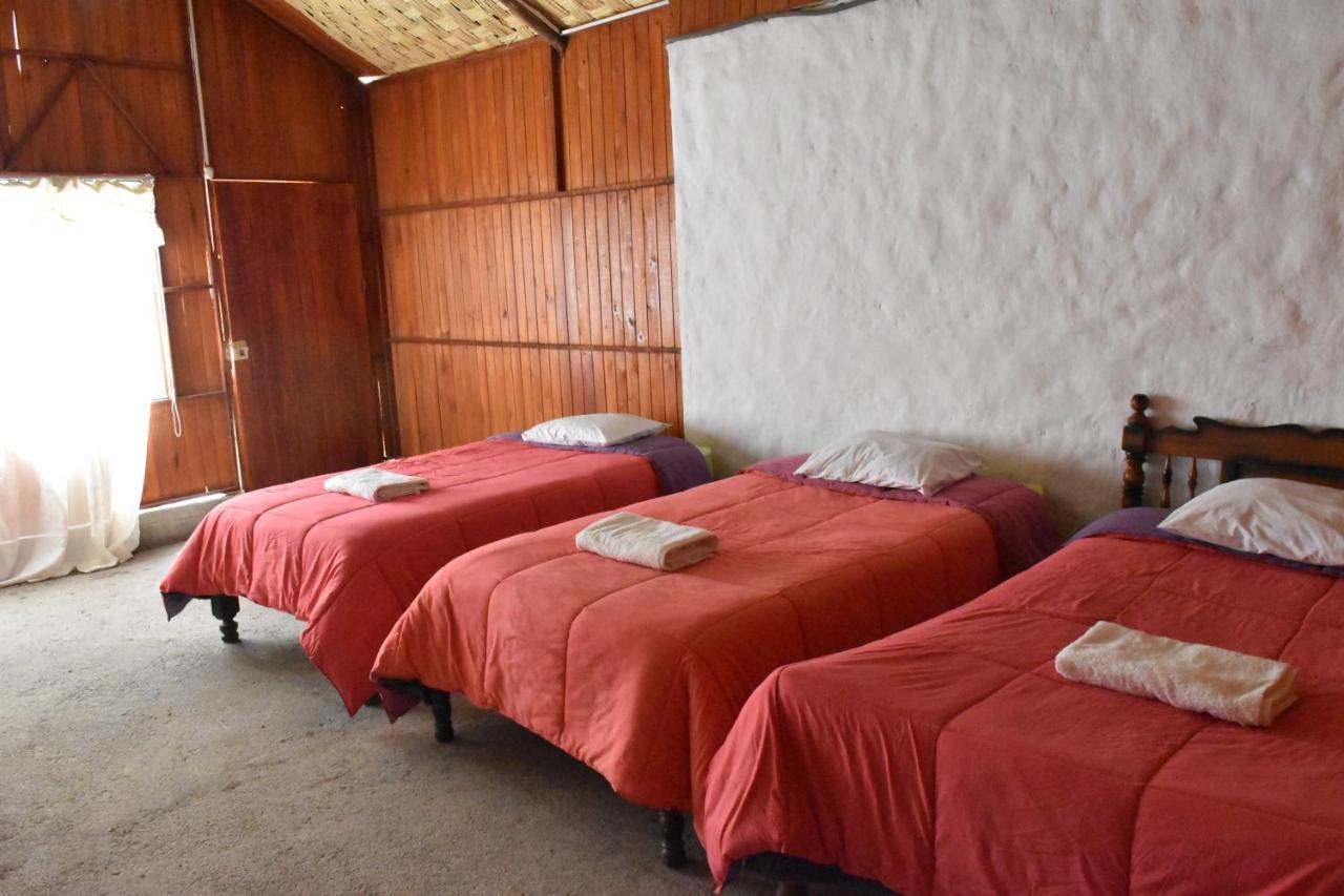 Oasis Paraiso Ecolodge 카바나콘데 외부 사진