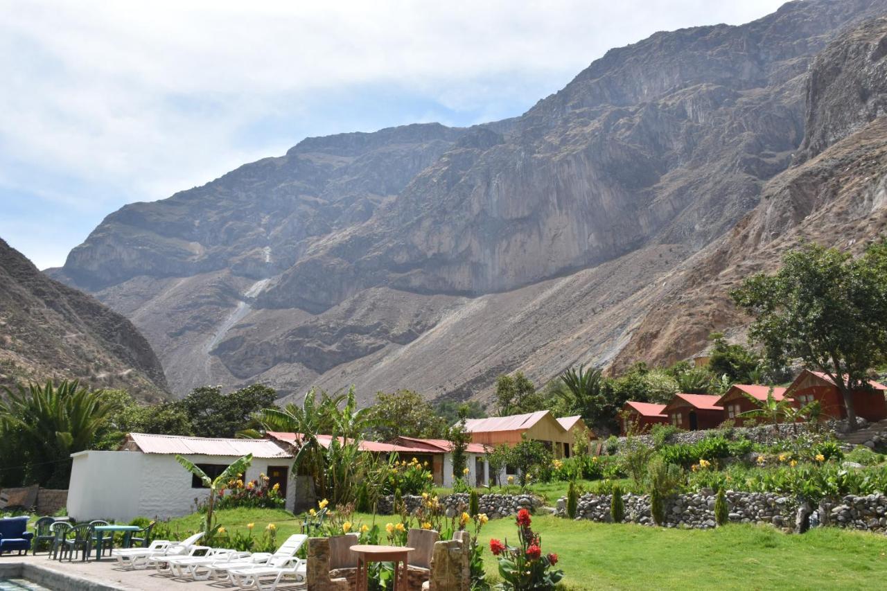 Oasis Paraiso Ecolodge 카바나콘데 외부 사진